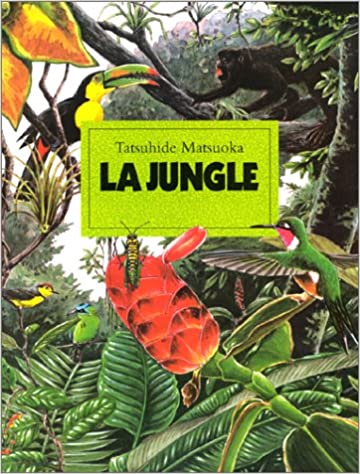 Atelier lecture Jeunesse selection livres des livres pour se perdre dans la jungle La jungle Tatsuhide Matsuoka